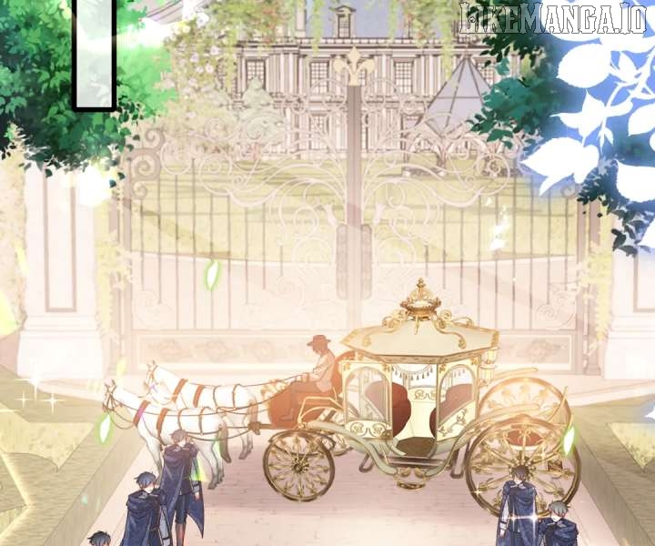 It Is Said That I Am a Fairy Princess Chapter 38 - page 2