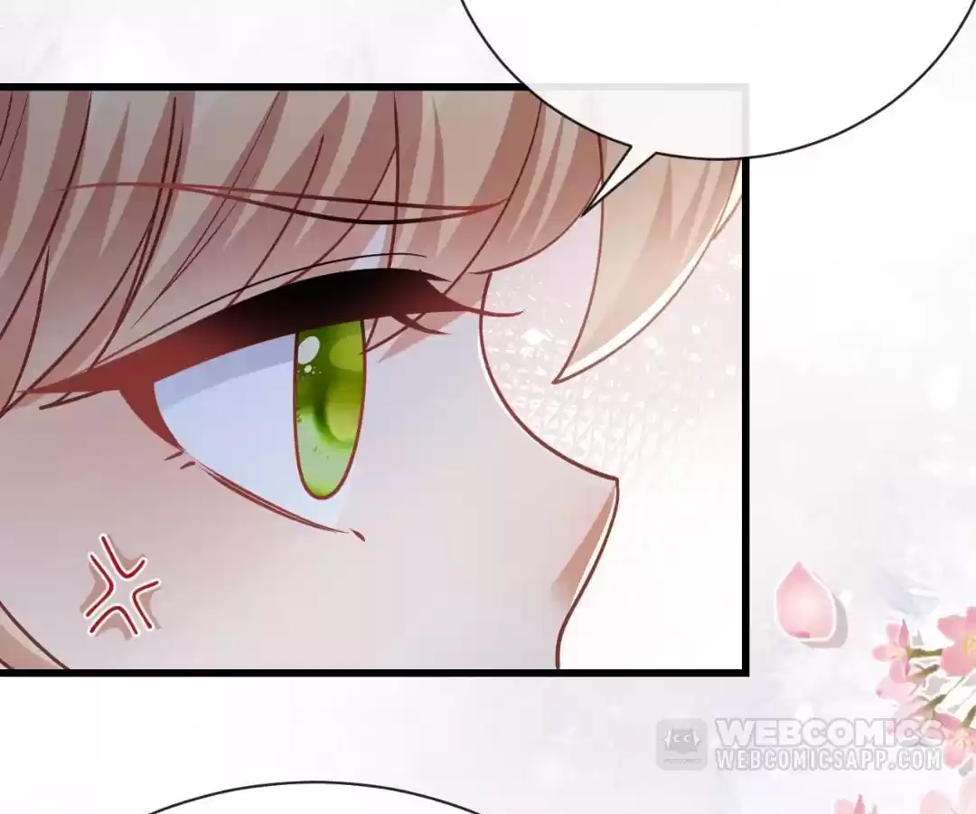 It Is Said That I Am a Fairy Princess Chapter 47 - page 19