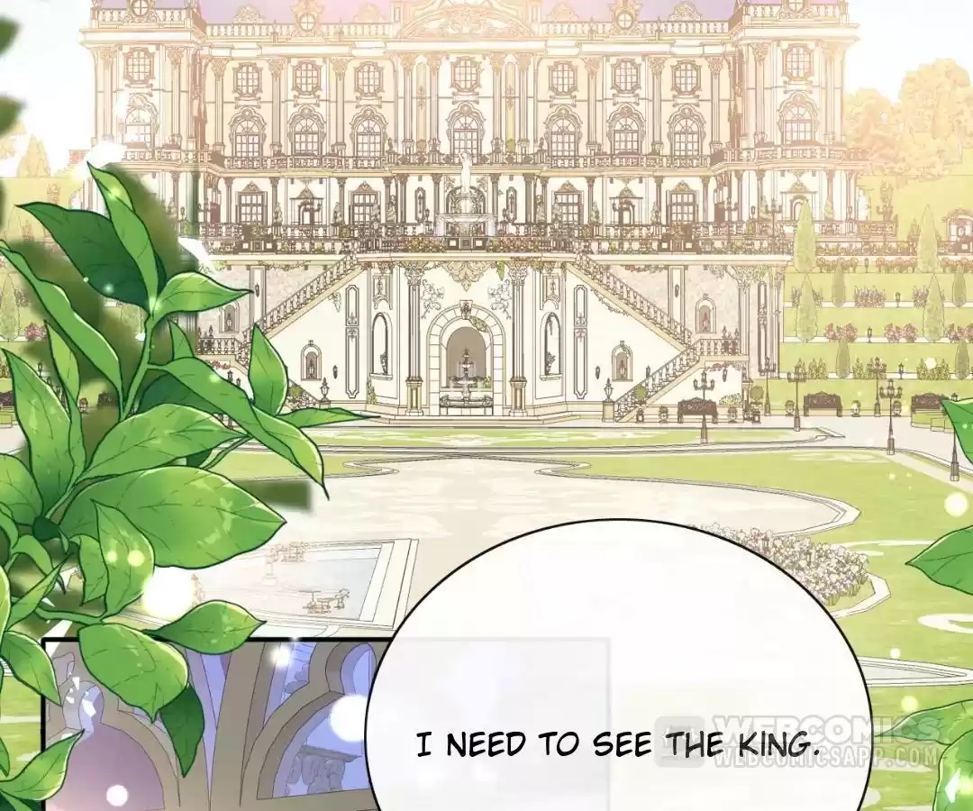 It Is Said That I Am a Fairy Princess Chapter 59 - page 3