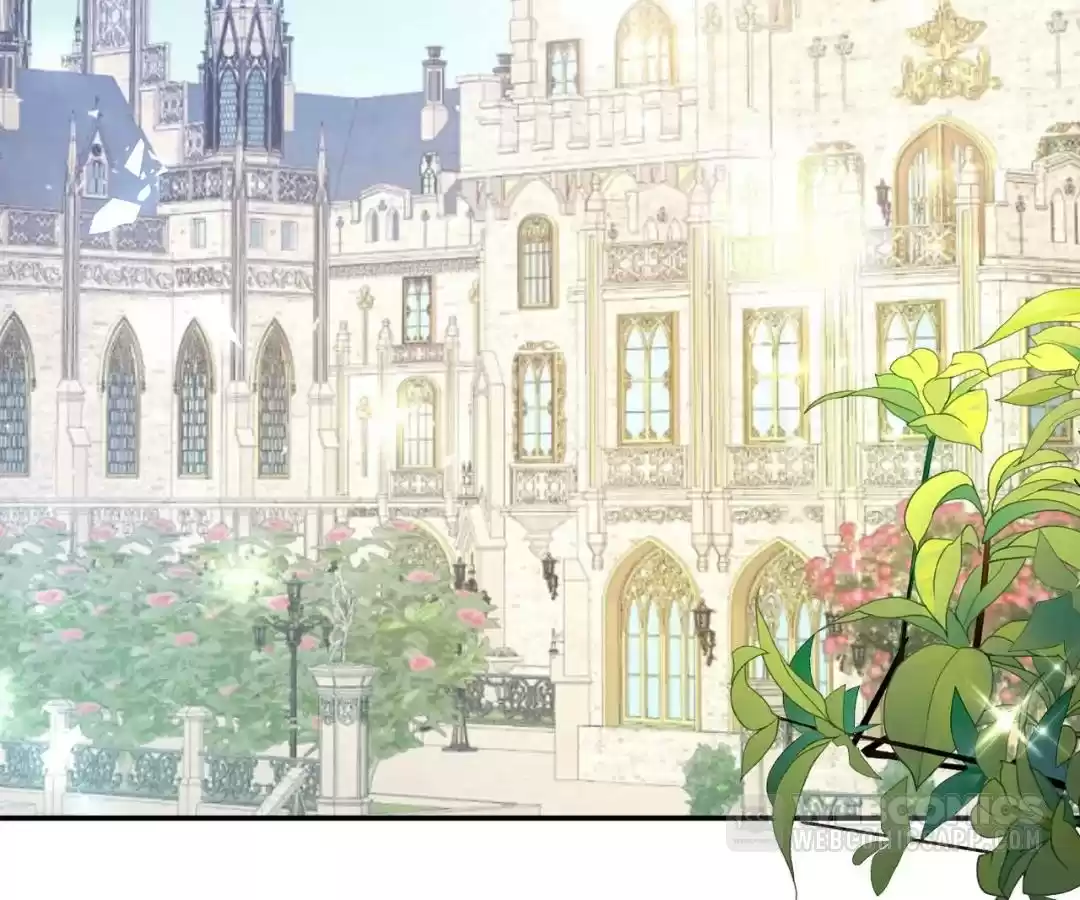 It Is Said That I Am a Fairy Princess Chapter 63 - page 3