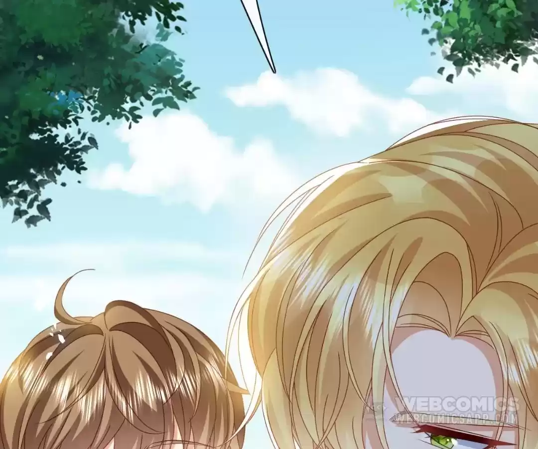 It Is Said That I Am a Fairy Princess Chapter 64 - page 3