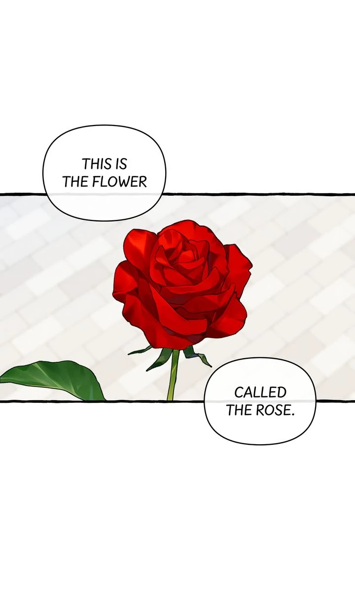 Hooked on Captain Charming Chapter 28 - page 37