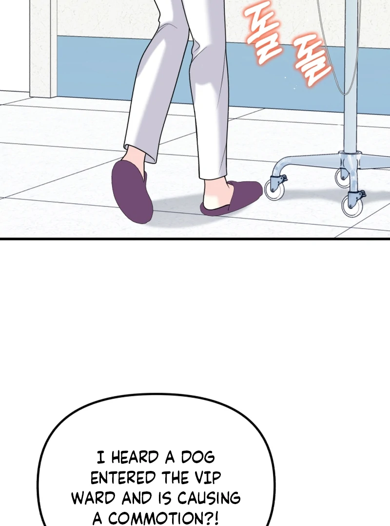 My masculine Puppy Chapter 43 - page 49