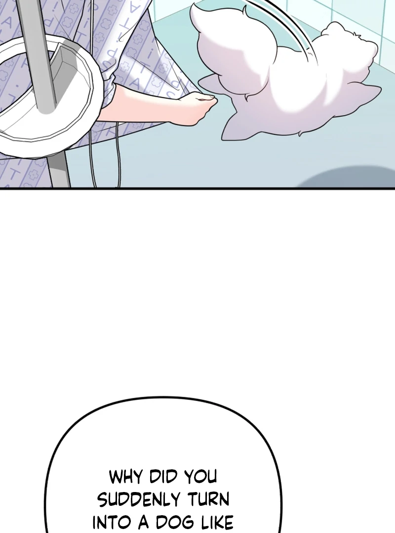 My masculine Puppy Chapter 43 - page 75