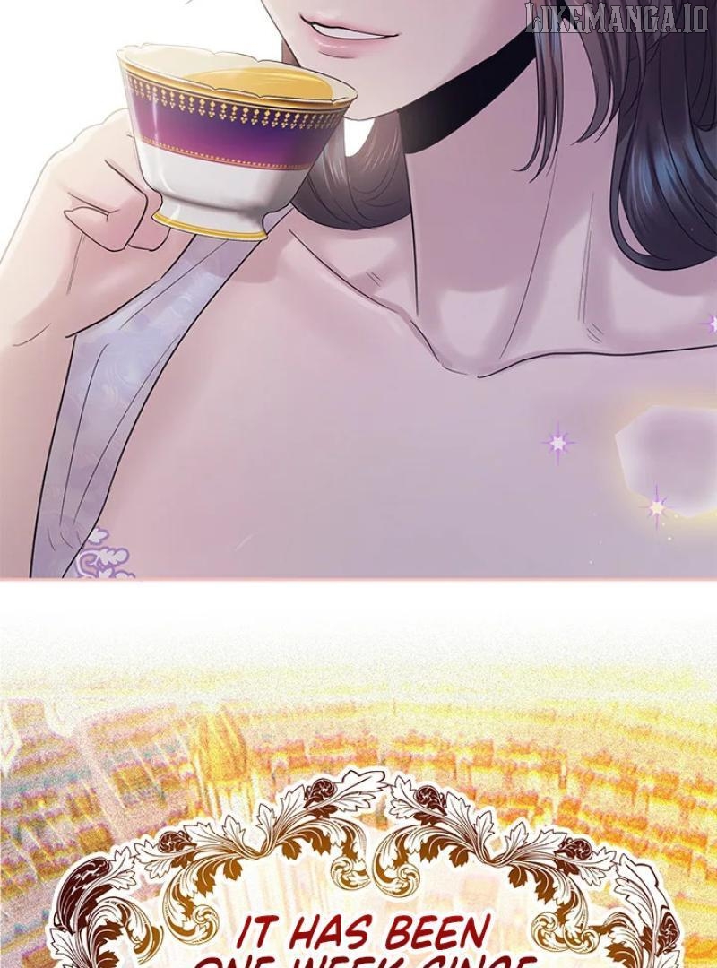 My Destiny, It's Time to Get It Back Chapter 35 - page 14