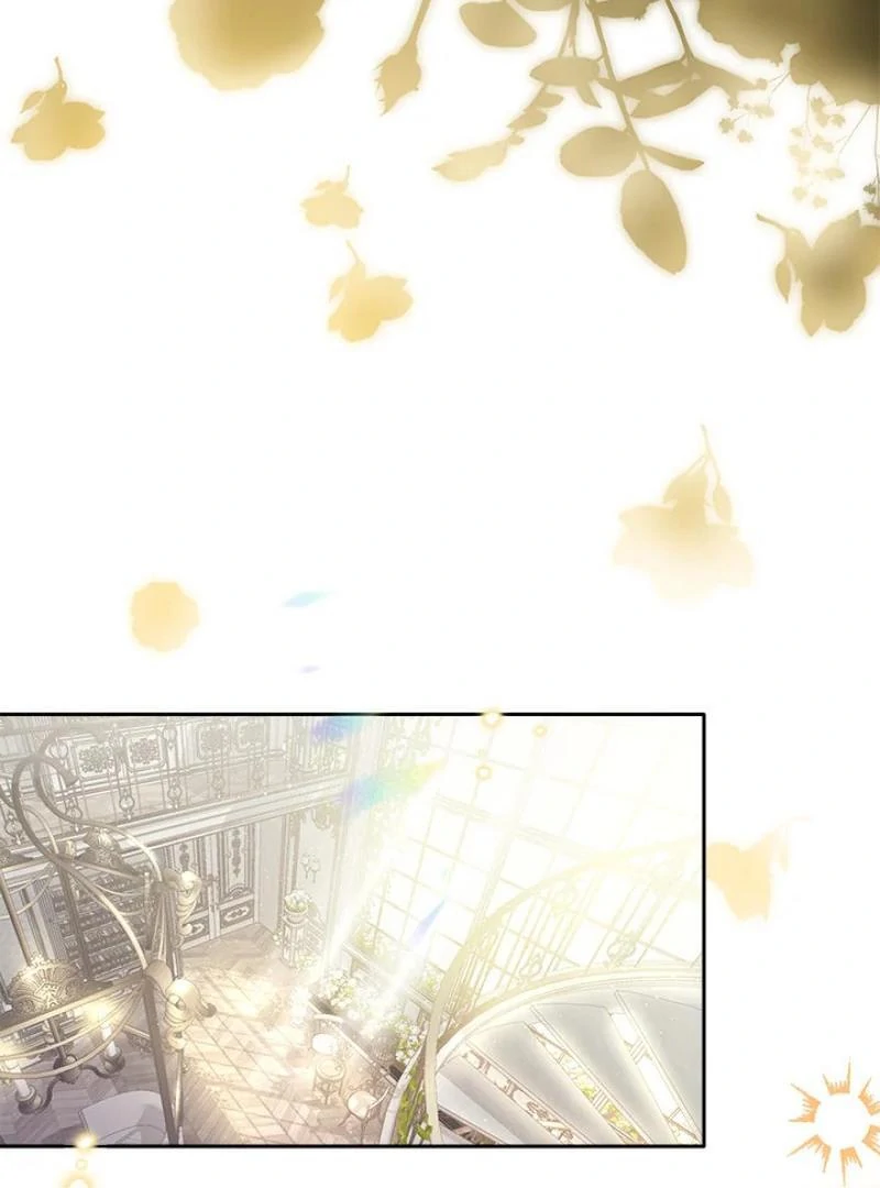 My Destiny, It's Time to Get It Back Chapter 35 - page 5