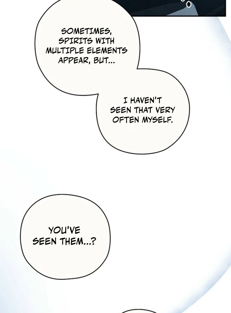 S-Class Spirit Master’s Taming Diary Chapter 46 - page 70