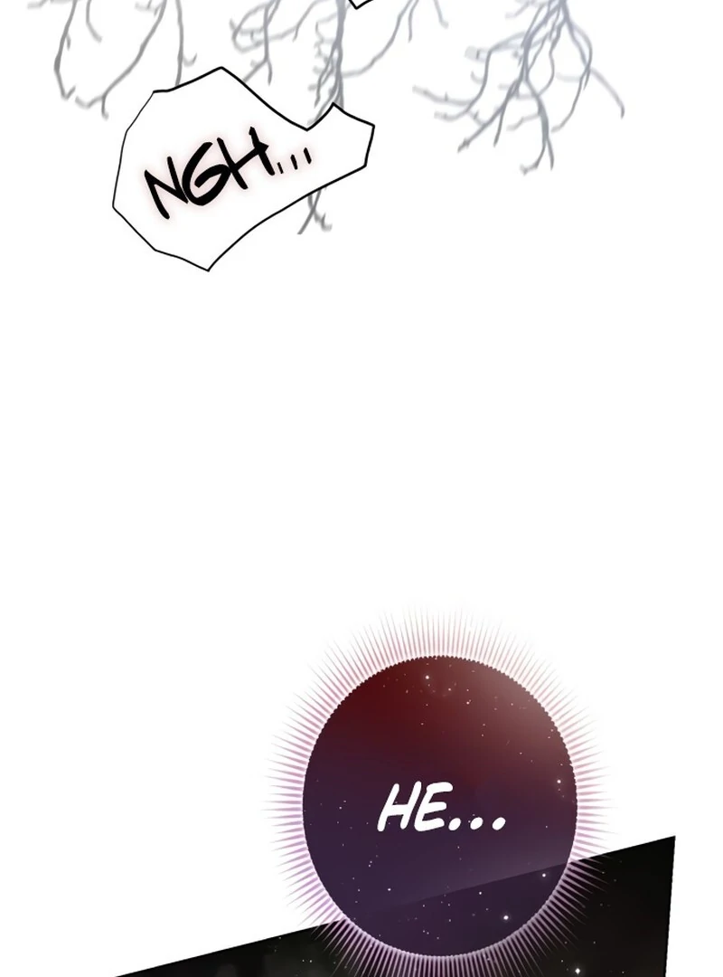 I Became the Duke’s Servant in Disguise Chapter 48 - page 101