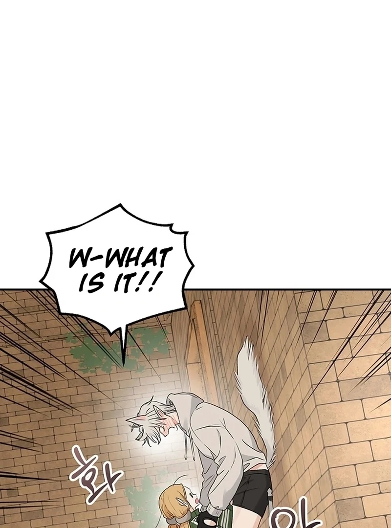 The Mating of Elves Chapter 55 - page 74