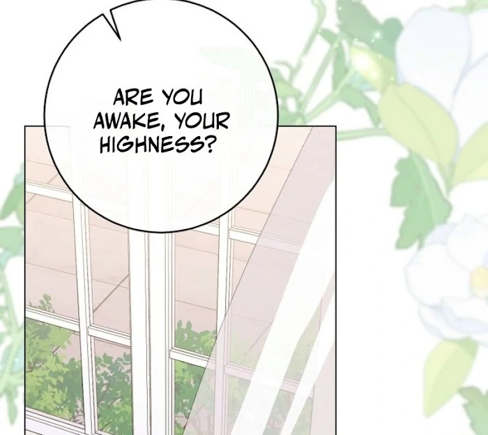 Royal Shop of Young Lady Chapter 188 - page 12