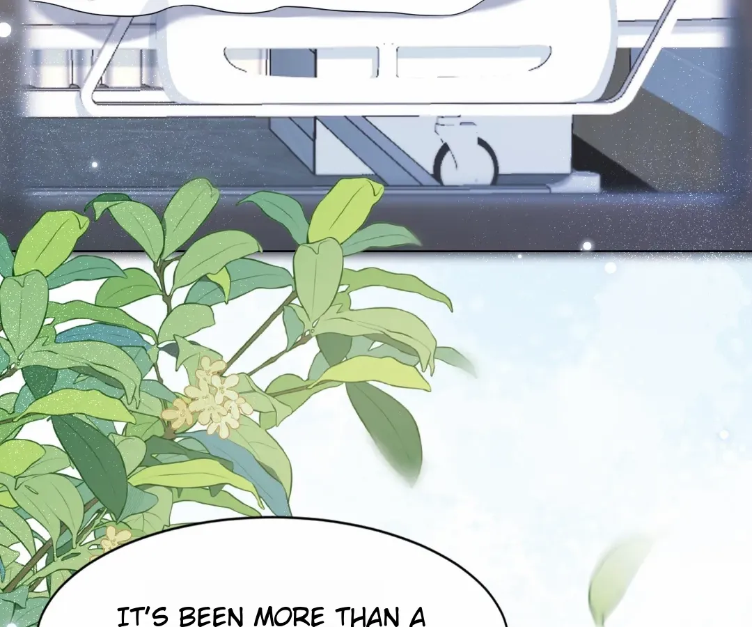 The Substitute Bride And The Overly affectionate Husband Chapter 38 - page 88