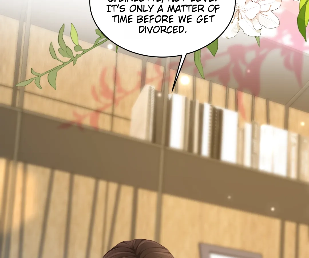 The Substitute Bride And The Overly affectionate Husband Chapter 47 - page 4