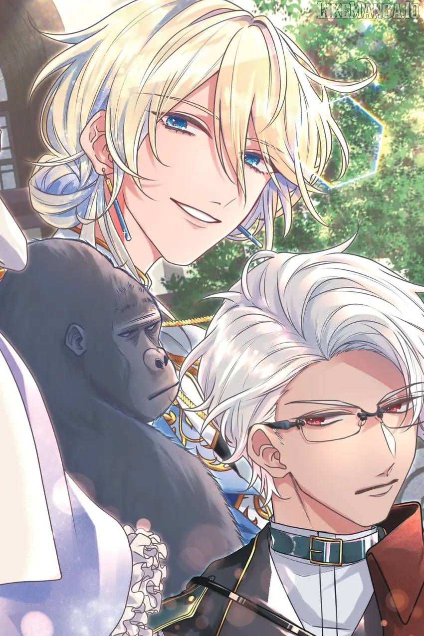 The young lady, who was blessed by the Gorilla God, is adored in the Royal Knight Order. Chapter 25 - page 3