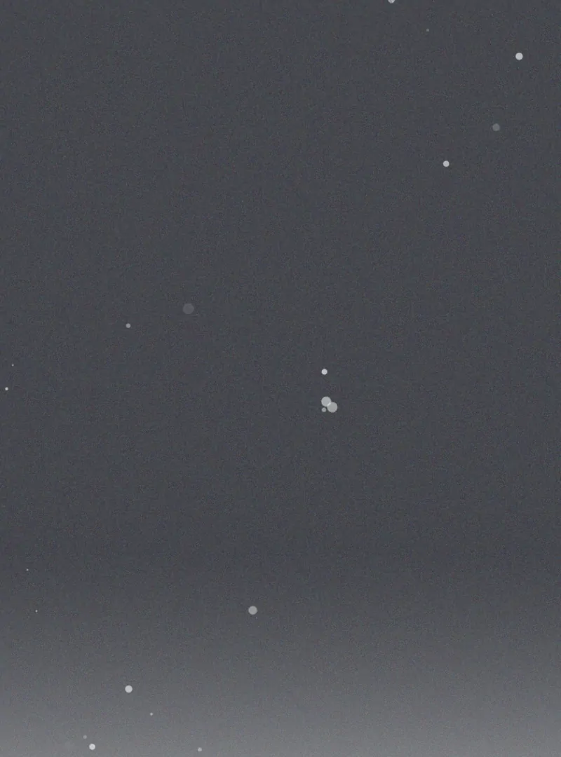 The Duke’s Obsession with His Wife Chapter 47 - page 118