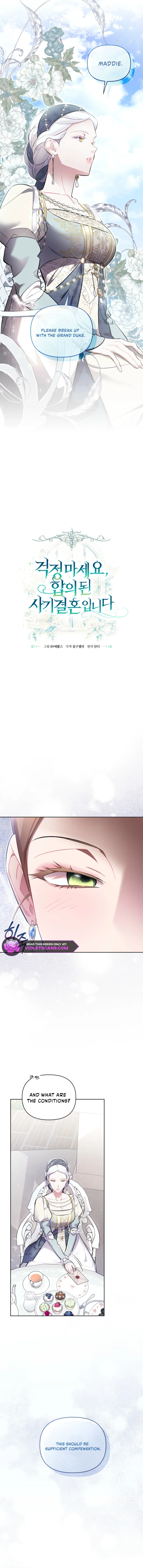 Don’t Worry, We Both Agreed to this Fraudulent Marriage Chapter 50 - page 5