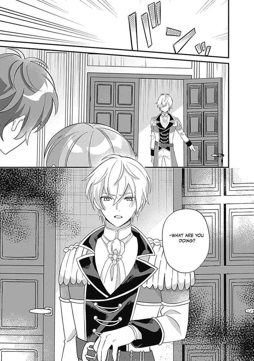 Moto seijo hiroin no watashi, zokuhende wa mobunanoni zen sutētasu (kō kando o fukumu) ga kansuto shite iru ndesuga Chapter 11 - page 25