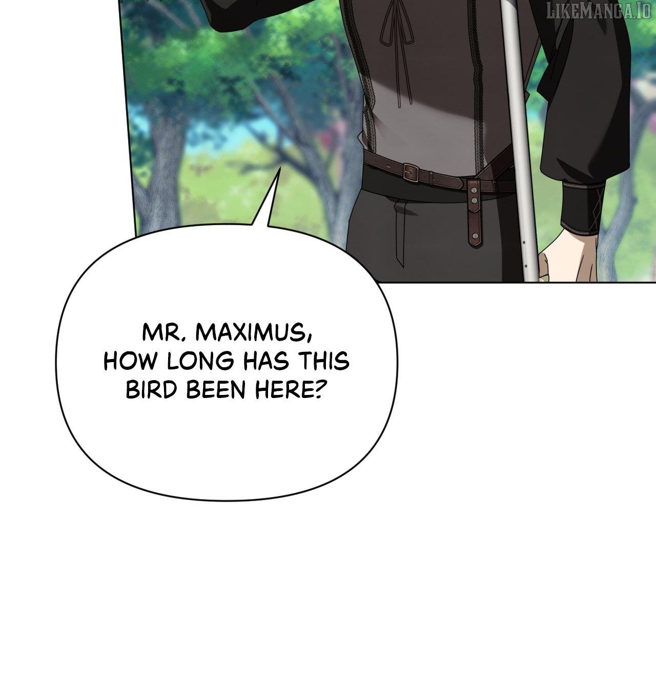 To The Witch Who Forgot The Bird Chapter 38 - page 13