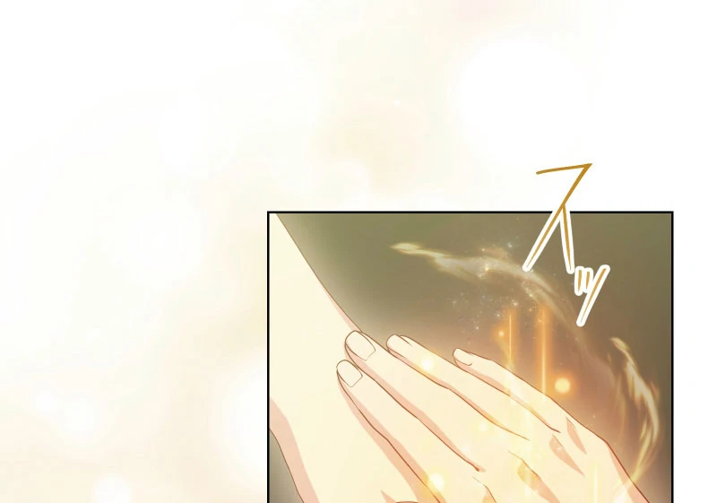 The Overpowered Healing Magic! After Reincarnating, I Am Now Spoiled Rotten by My Former Subordinate Who Became a King. Chapter 34 - page 51