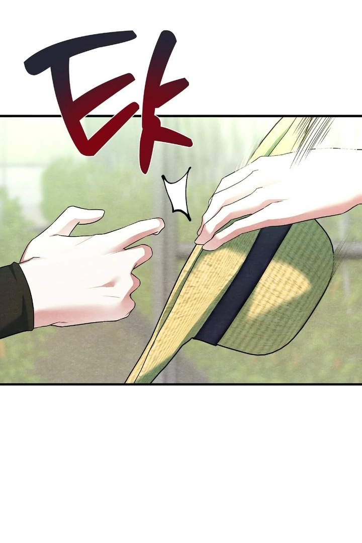 To My Apricot Hill Chapter 16 - page 35