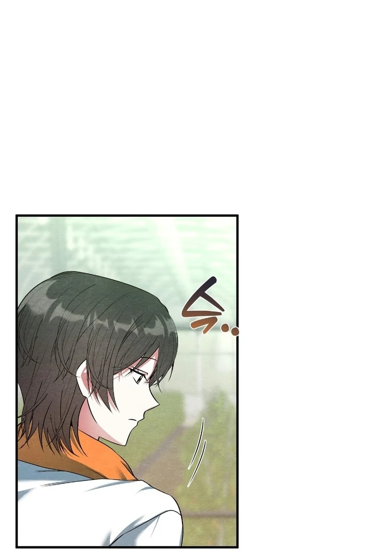 To My Apricot Hill Chapter 16 - page 38