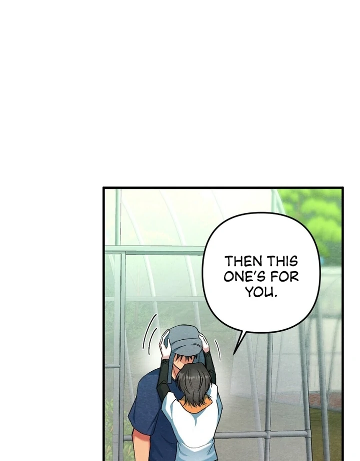 To My Apricot Hill Chapter 16 - page 40