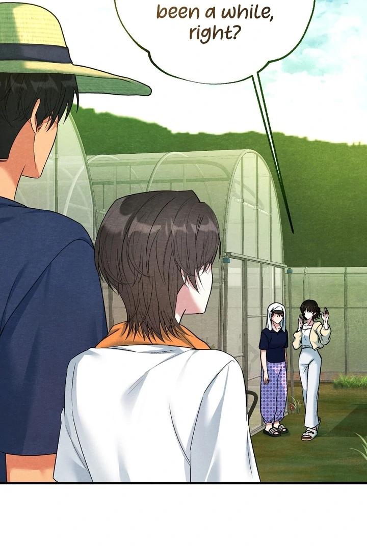 To My Apricot Hill Chapter 16 - page 6