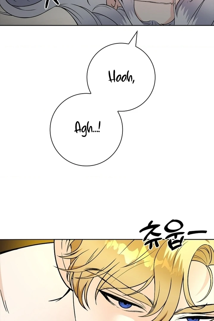 The Saintess's Petals Become Wet Chapter 28 - page 43