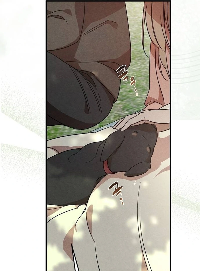 At the Place Where the Golden Rose Broke Chapter 25 - page 51