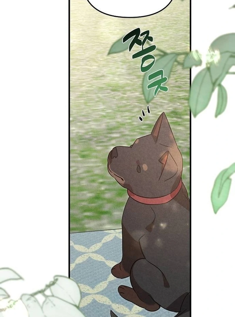 At the Place Where the Golden Rose Broke Chapter 25 - page 73