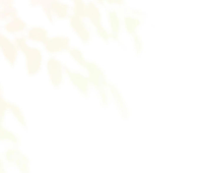 If You Want a Cheeky Sorceress Chapter 21 - page 36