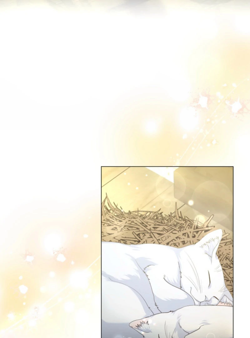 The Saint Who Longs for Death Made a Contract with the Cursed Prince Chapter 25 - page 3