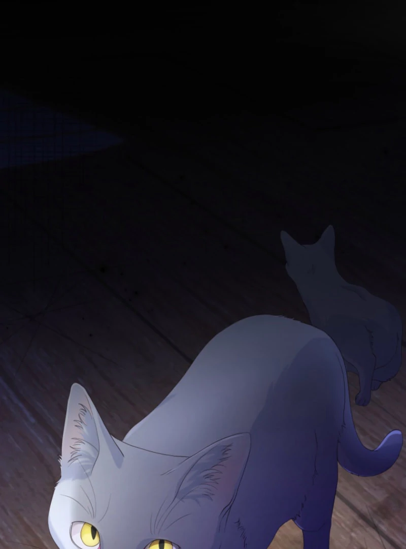 The Saint Who Longs for Death Made a Contract with the Cursed Prince Chapter 25 - page 49