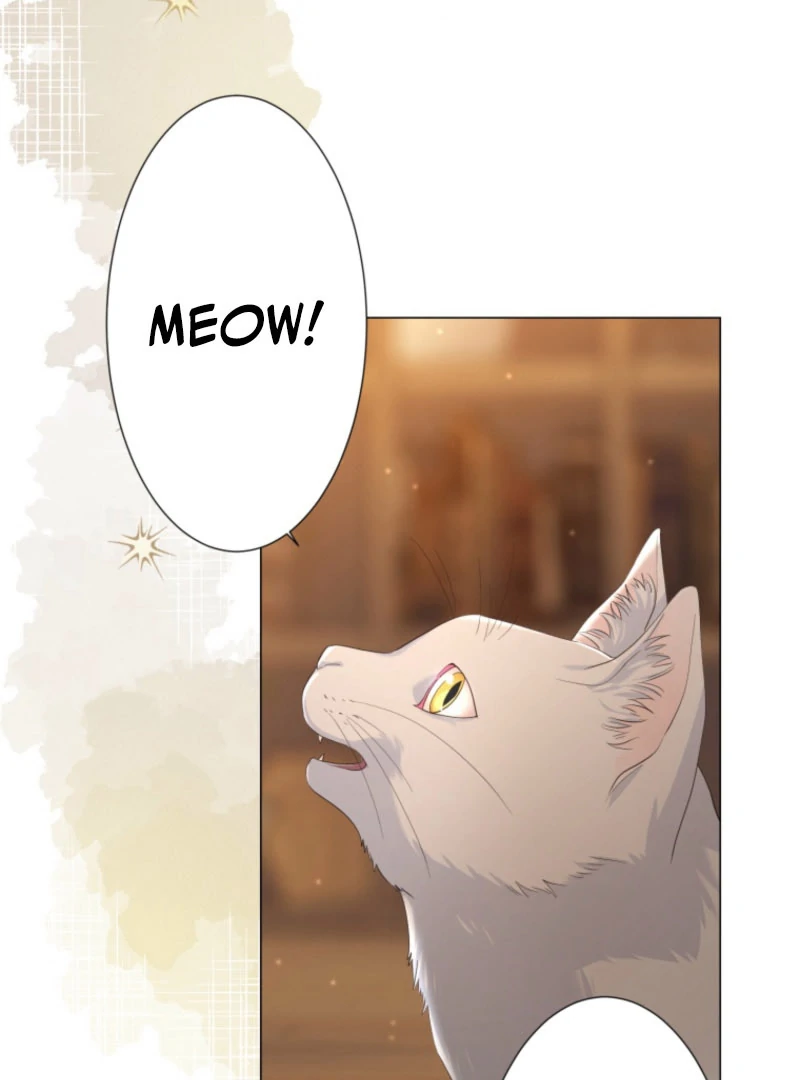 The Saint Who Longs for Death Made a Contract with the Cursed Prince Chapter 25 - page 65
