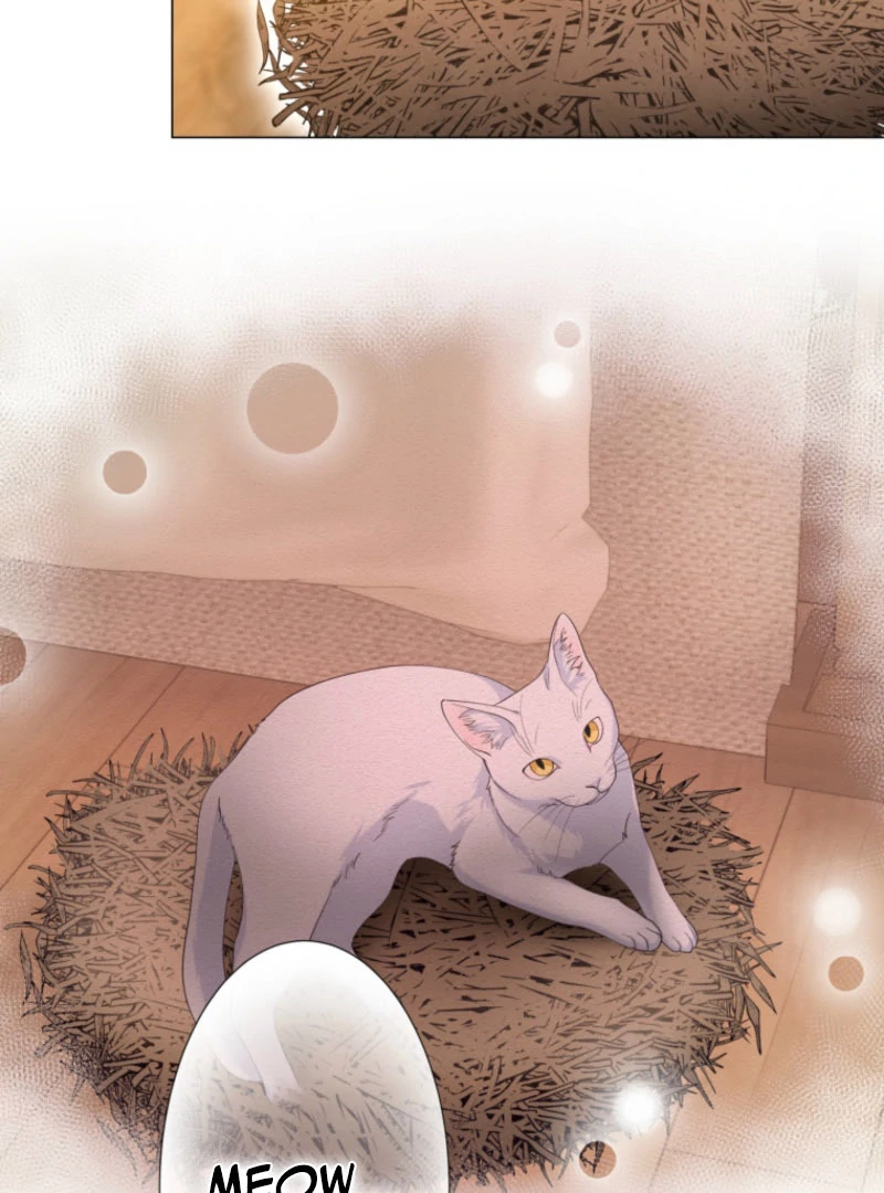 The Saint Who Longs for Death Made a Contract with the Cursed Prince Chapter 25 - page 68