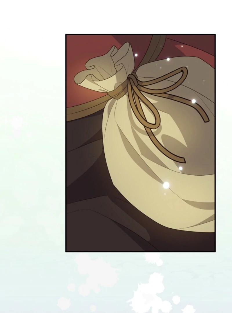 I Will Seduce The Male Lead For My Older Brother Chapter 97 - page 100