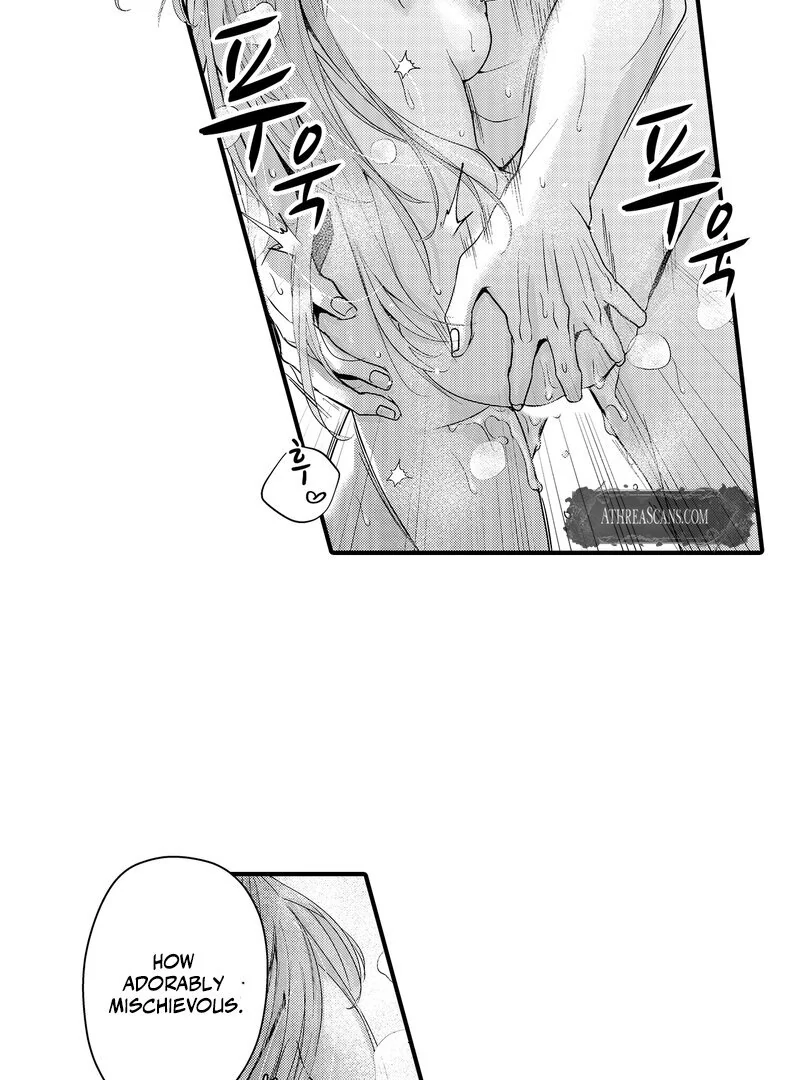 The Merciless Emperor’s Pet Consort Chapter 14 - page 9