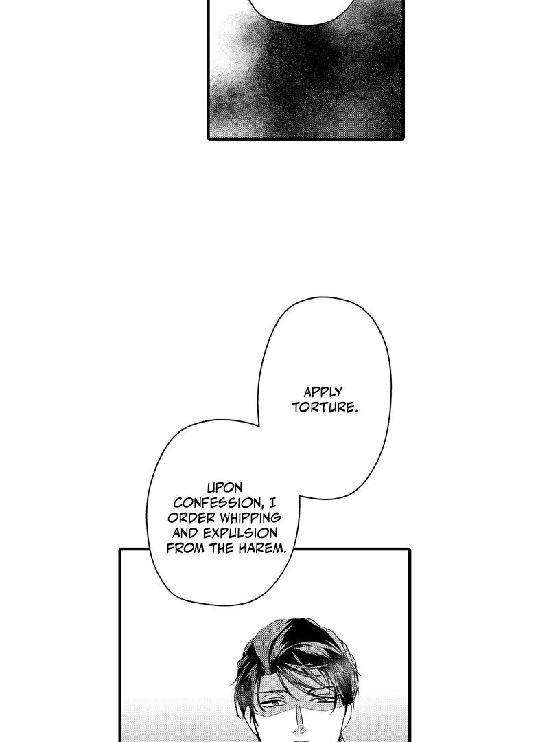 The Merciless Emperor’s Pet Consort Chapter 14 - page 37