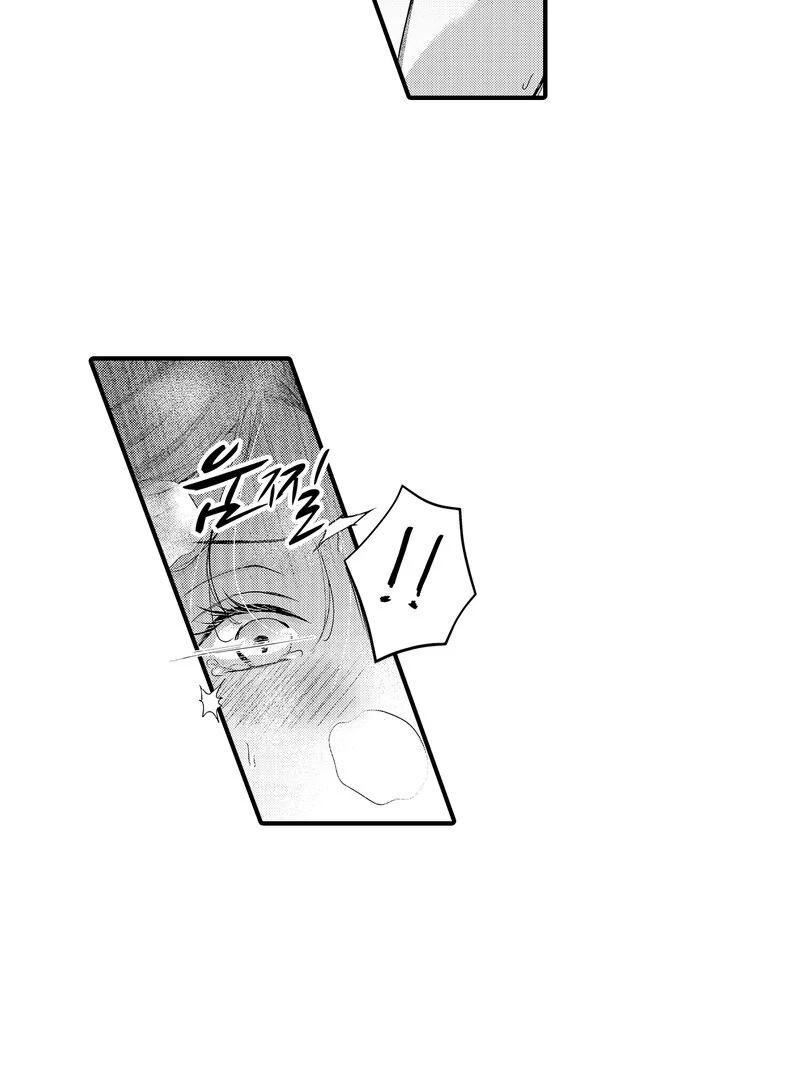 The Merciless Emperor’s Pet Consort Chapter 14 - page 3