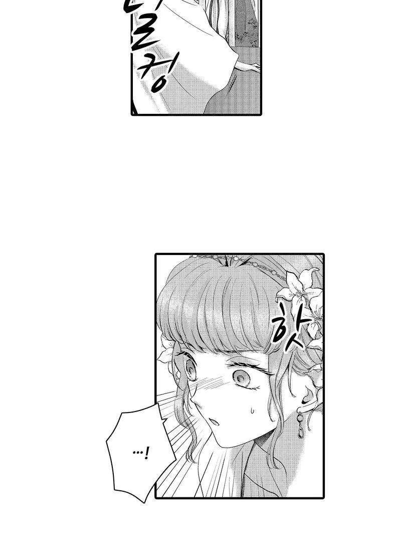 The Merciless Emperor’s Pet Consort Chapter 15 - page 28