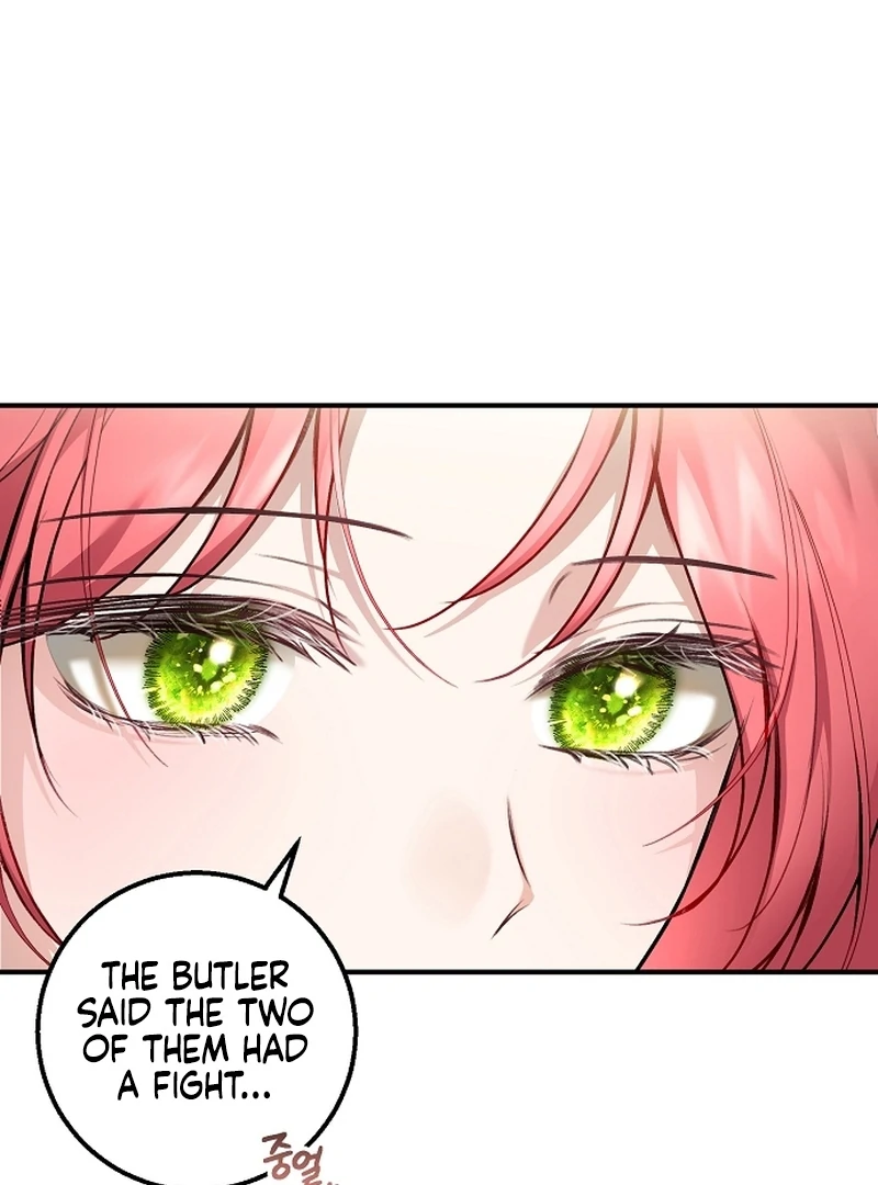 Sub-Male Lead, You Said It Was A Contract Marriage? Chapter 20 - page 12
