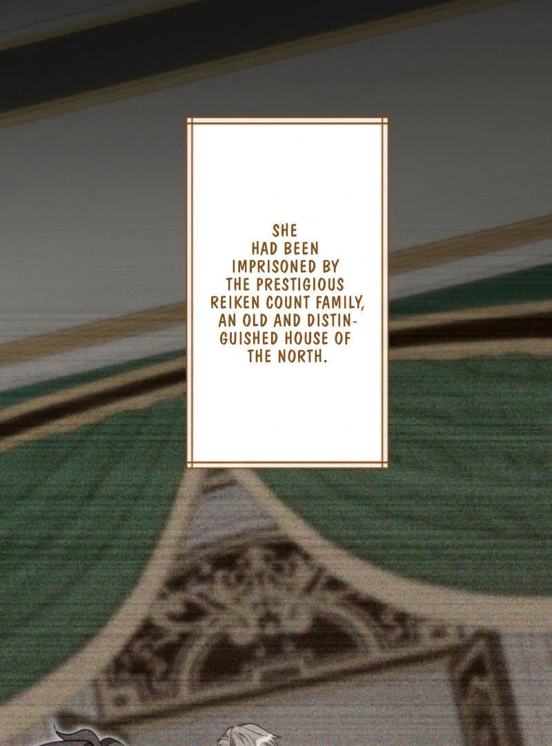 I Wanted a Divorce, But My Husband Became Obsessed With Me Chapter 23 - page 17