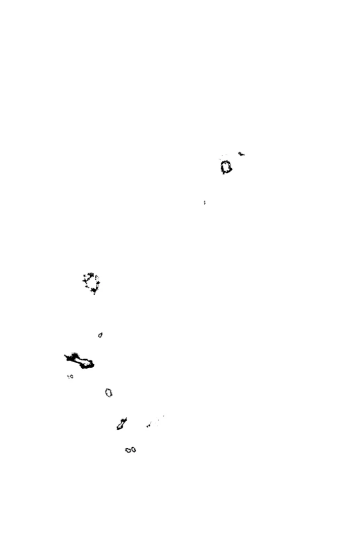 The Land of Abstinence Chapter 21 - page 97