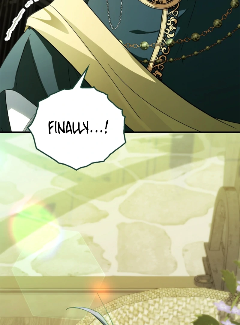 The Countess Who Ran Away Has Returned Chapter 24 - page 111