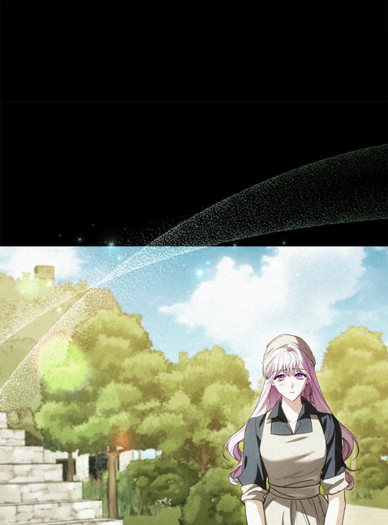 The Countess Who Ran Away Has Returned Chapter 24 - page 18