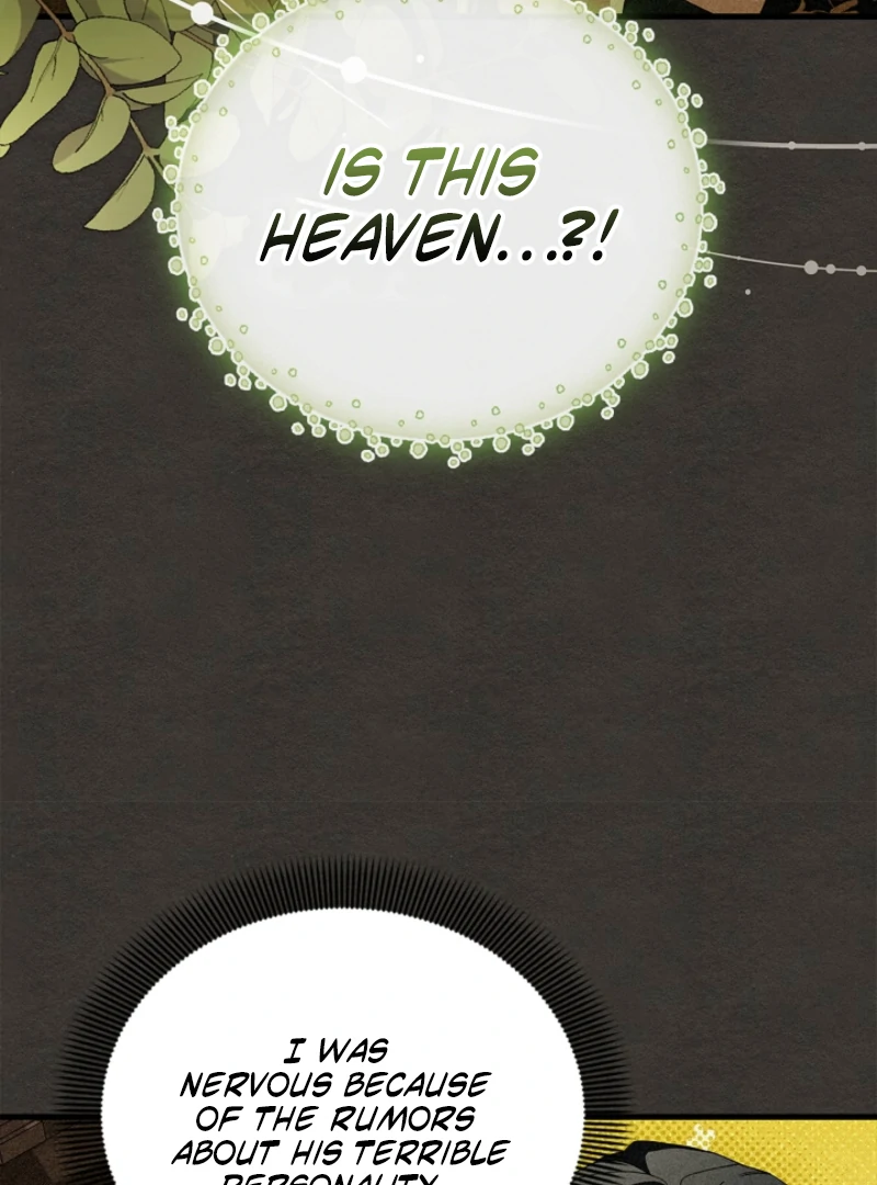 The Countess Who Ran Away Has Returned Chapter 25 - page 10