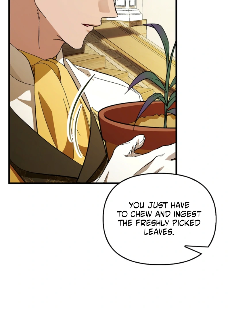 The Countess Who Ran Away Has Returned Chapter 25 - page 31