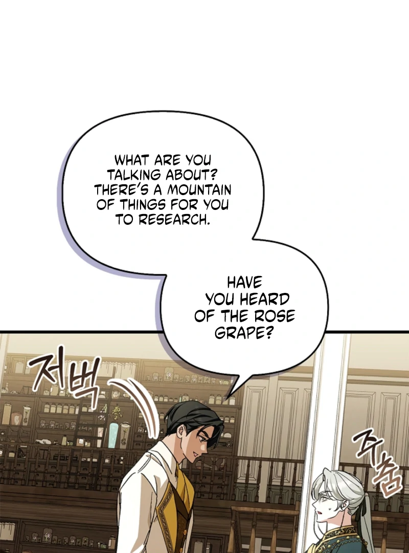 The Countess Who Ran Away Has Returned Chapter 25 - page 42