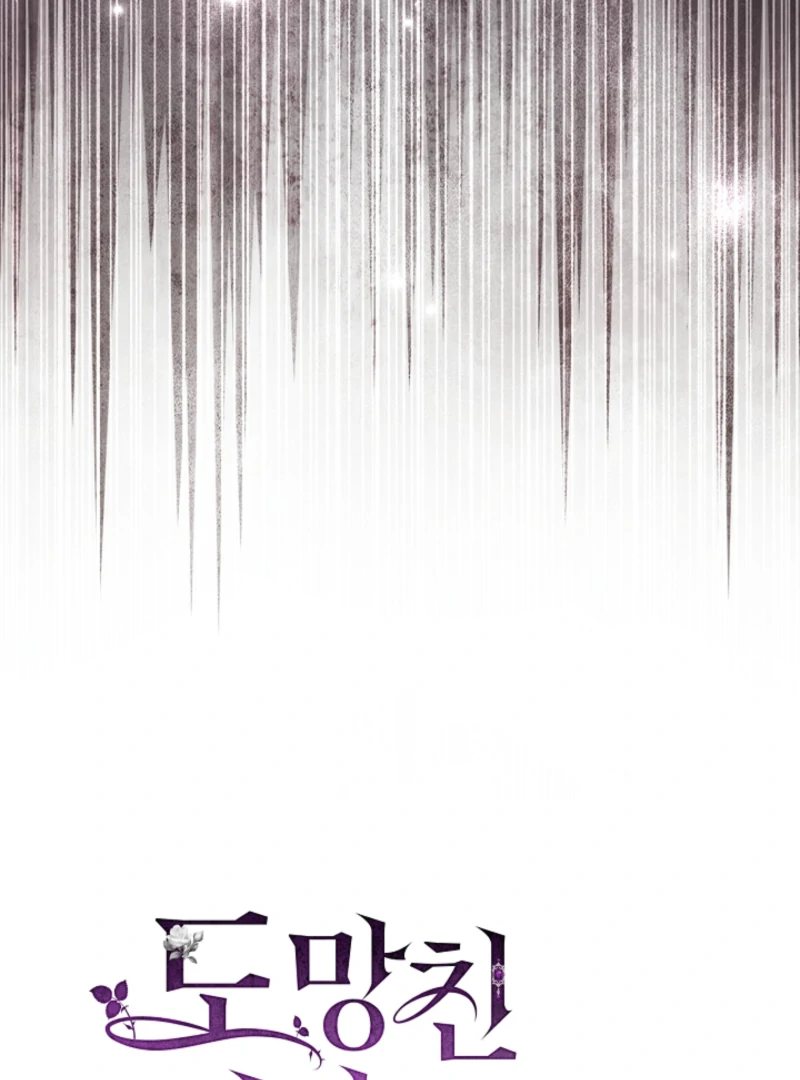 The Countess Who Ran Away Has Returned Chapter 25 - page 48