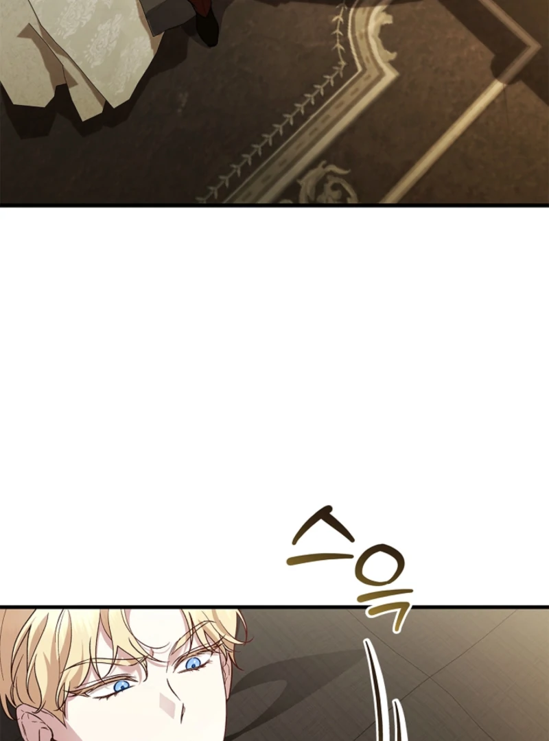 The Countess Who Ran Away Has Returned Chapter 25 - page 97