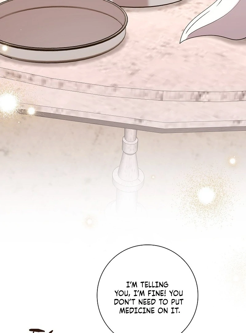I Tried to Rewrite the Original Story, But Ended Up Seducing the Northern Grand Duke Chapter 28 - page 12